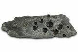 Plate of + Red Embers Garnets in Graphite - Massachusetts #375801-1
